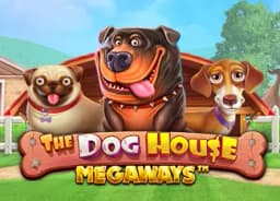 roughgayporn: The Dog House Megaways
